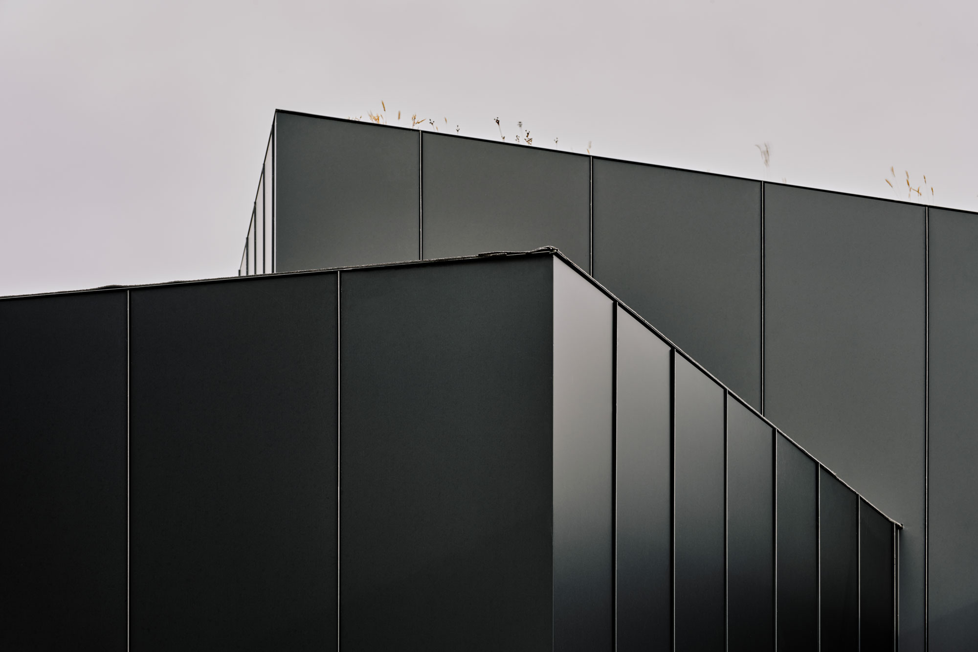 Black metal cladding detail of two corners and grass roof