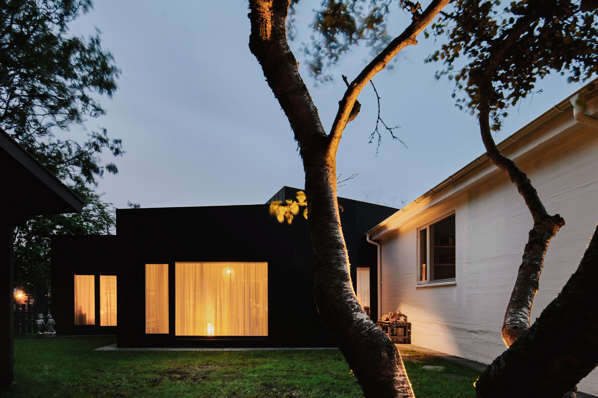 House extension black cladding twilight tree in the foreground